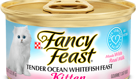 Fancy Feast Kitten Classic Paté Tender Ocean Whitefish Feast Kitten Food